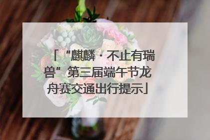“麒麟・不止有瑞兽”第三届端午节龙舟赛交通出行提示